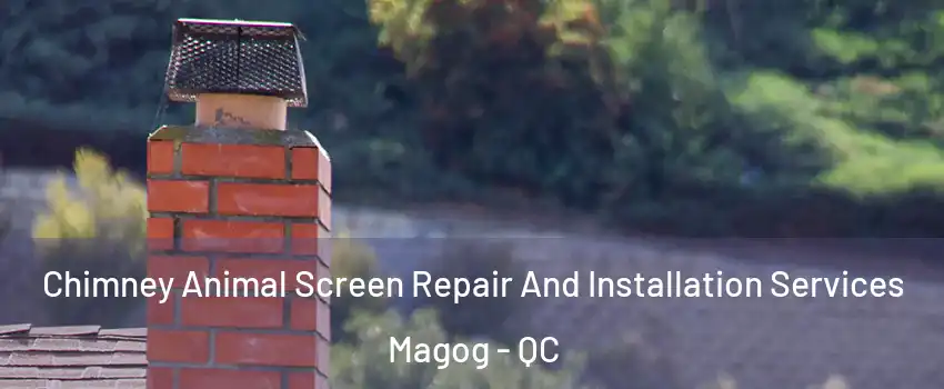 Chimney Animal Screen Repair And Installation Services Magog - QC
