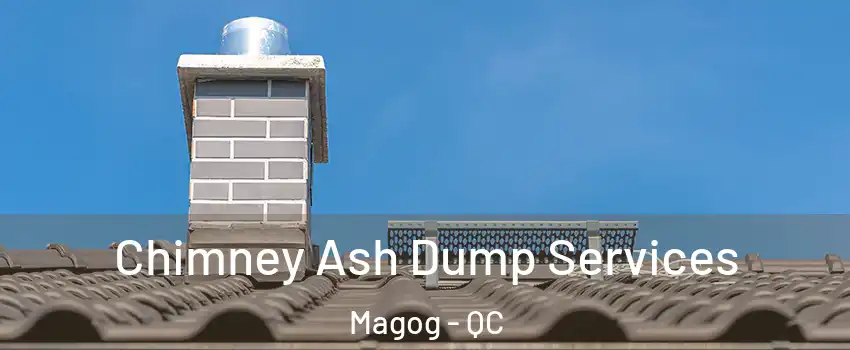 Chimney Ash Dump Services Magog - QC