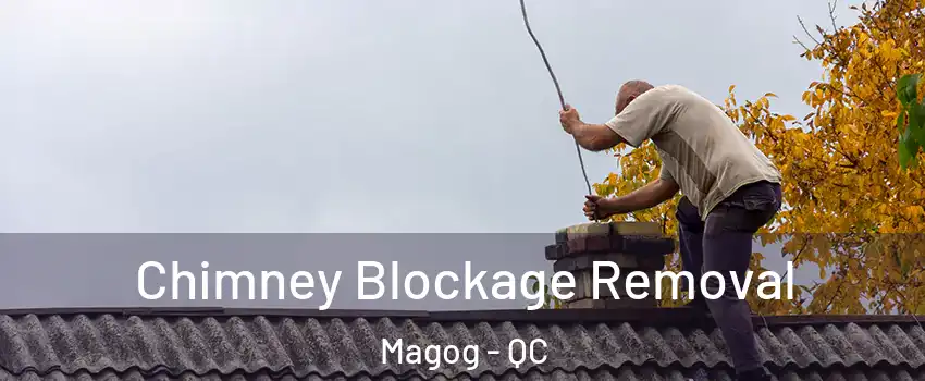 Chimney Blockage Removal Magog - QC