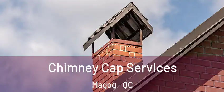 Chimney Cap Services Magog - QC
