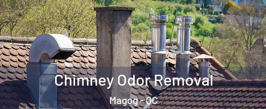 Chimney Odor Removal Magog - QC