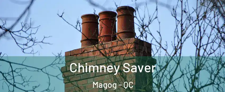 Chimney Saver Magog - QC