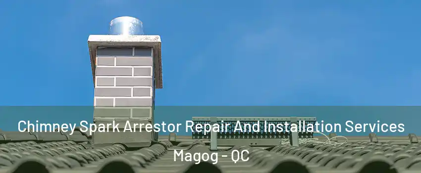 Chimney Spark Arrestor Repair And Installation Services Magog - QC