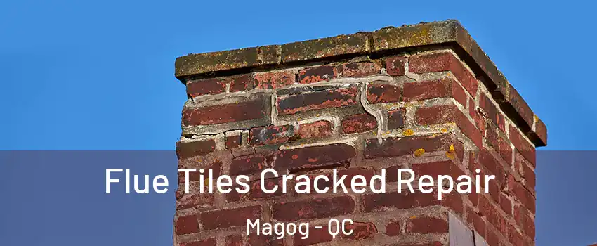 Flue Tiles Cracked Repair Magog - QC