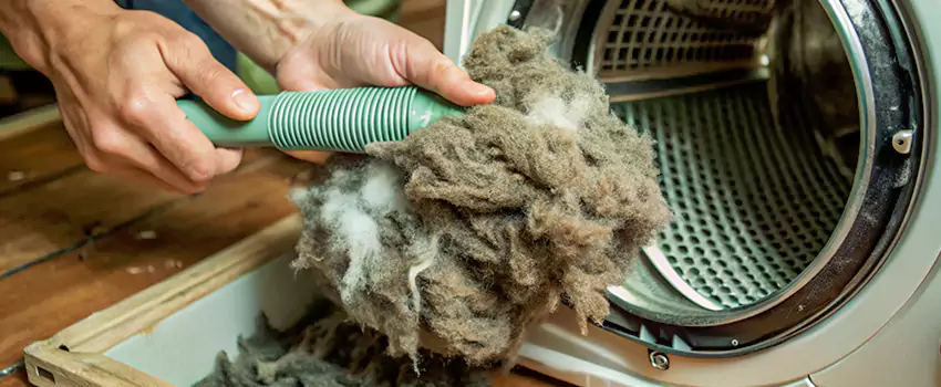 Best Dryer Lint Removal Company in Magog, Quebec