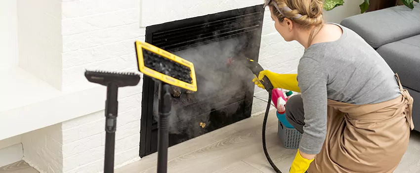 Fireplace Doors Cleaning in Magog, Quebec