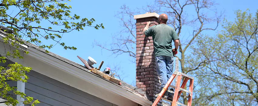 Chimney And Flue Brush Cleaning in Magog, Quebec