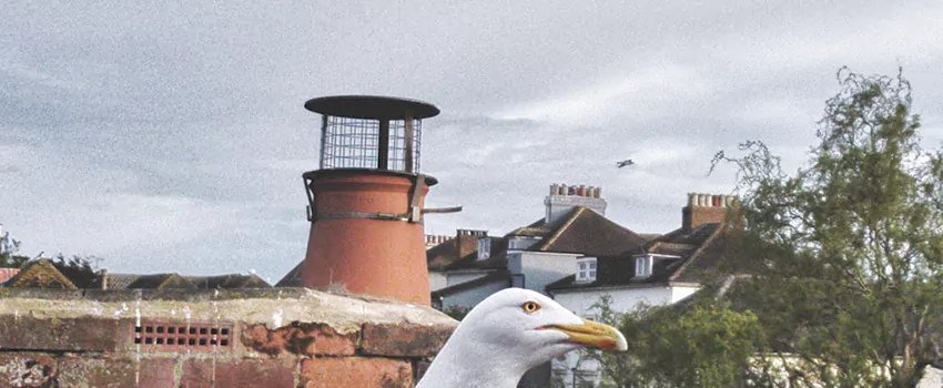 Chimney Cap Bird Guard Repair in Magog, Quebec