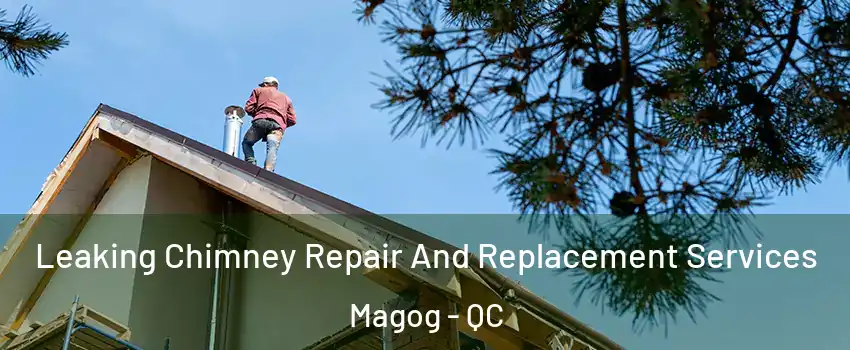 Leaking Chimney Repair And Replacement Services Magog - QC