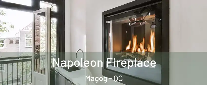 Napoleon Fireplace Magog - QC